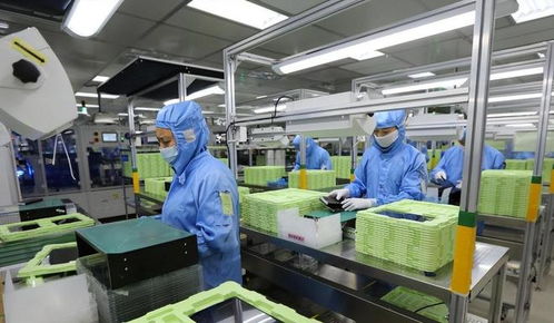 東莞封裝廠斷供，荷蘭急求合作解禁